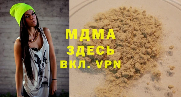 сатива Ельня