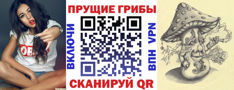 цена наркотик  Черкесск  Галлюциногенные грибы GOLDEN TEACHER 