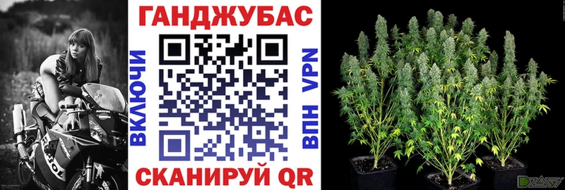 Каннабис план  где можно купить наркотик  Черкесск 